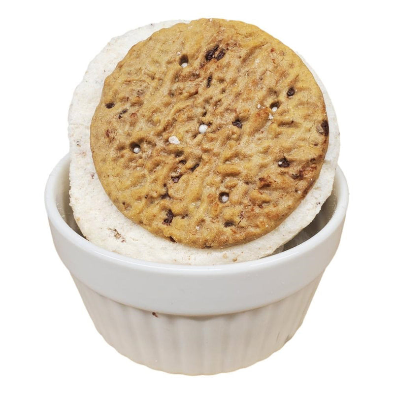 Freeze Dried Ice Cream Sandwich - Chocolate Chip Cookie 1pk