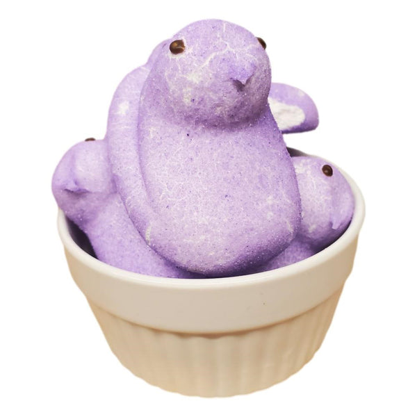 Freeze Dried Peeps - Purple 4pk